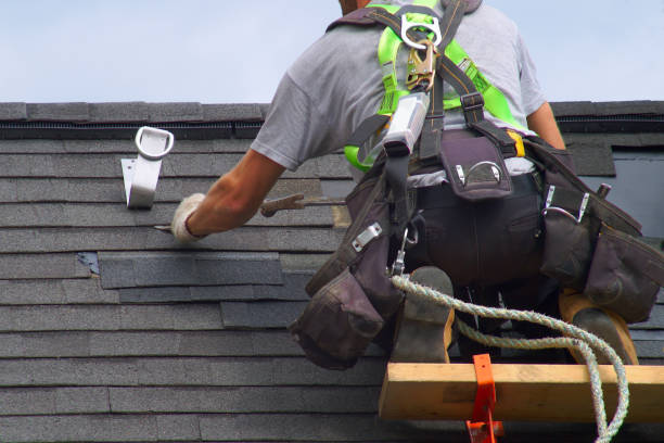 Best Roof Gutter Cleaning  in Griggsvle, IL