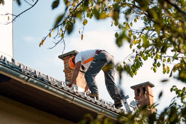 Best Metal Roofing Contractor  in Griggsvle, IL