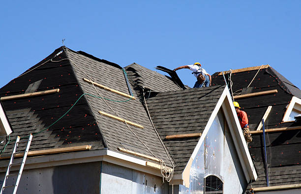 Best Roof Restoration Services  in Griggsvle, IL