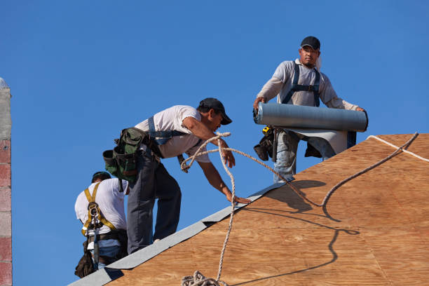 Best Roof Inspection Near Me  in Griggsvle, IL