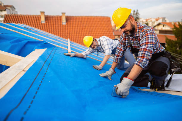 Best Residential Roofing Contractor  in Griggsvle, IL