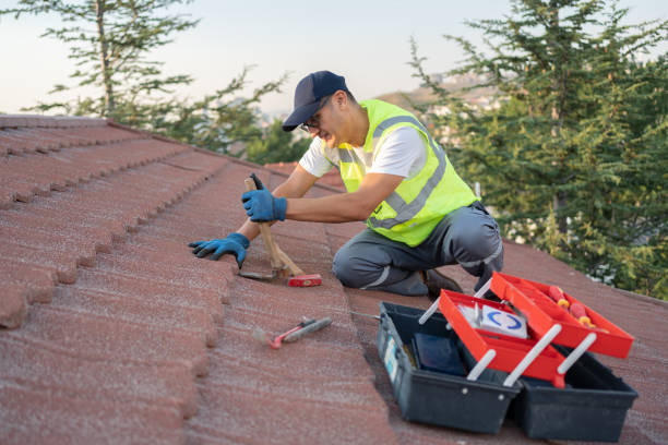 Best Gutter Installation and Roofing  in Griggsvle, IL