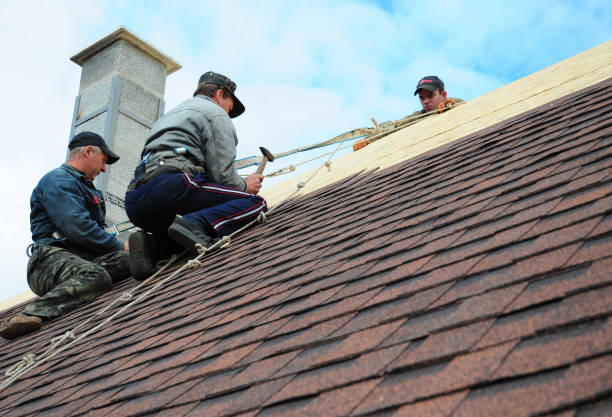 Best Local Roofing Companies  in Griggsvle, IL