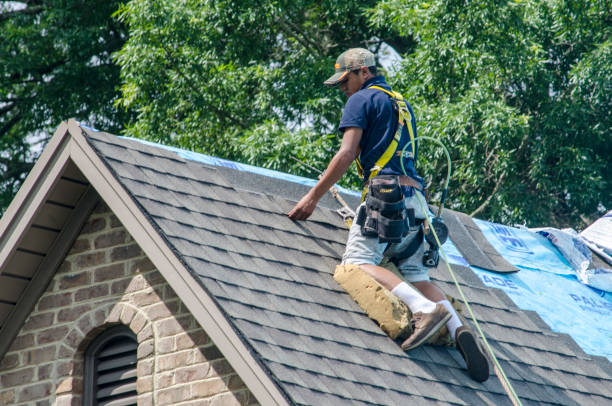 Best Roof Waterproofing Services  in Griggsvle, IL